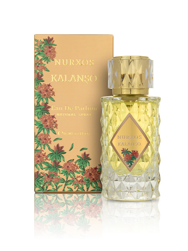 9708-Kalanchoe-Perfumes-1.jpg